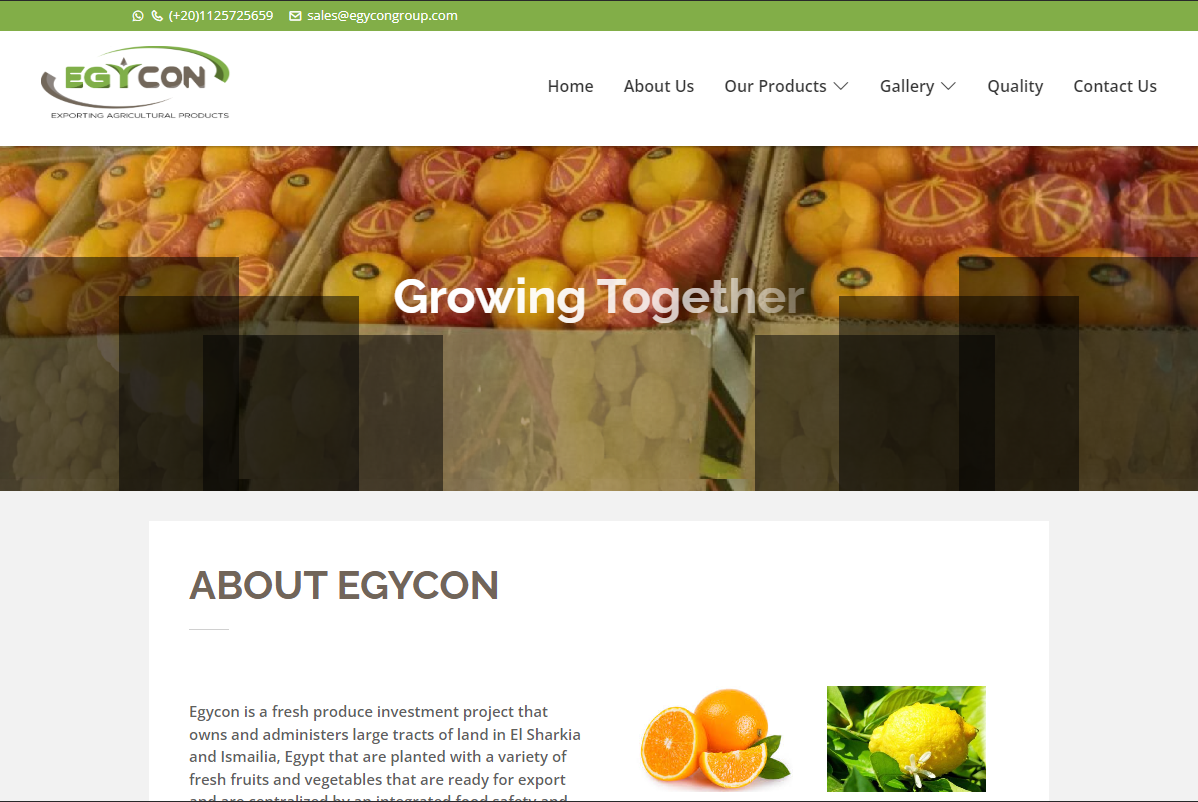 EgyCon